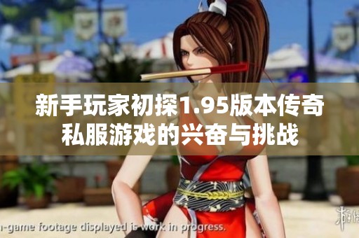 新手玩家初探1.95版本传奇私服游戏的兴奋与挑战