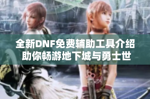 全新DNF免费辅助工具介绍 助你畅游地下城与勇士世界