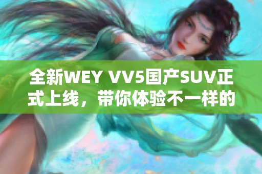 全新WEY VV5国产SUV正式上线，带你体验不一样的驾驶乐趣
