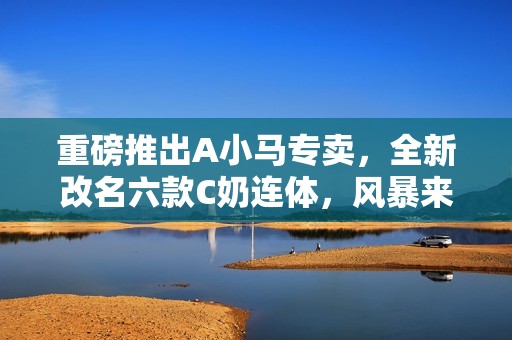 重磅推出A小马专卖，全新改名六款C奶连体，风暴来袭信用分高！