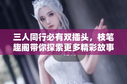 三人同行必有双插头，枝笔趣阁带你探索更多精彩故事