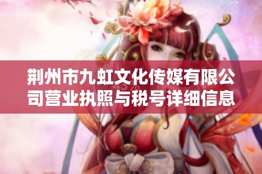荆州市九虹文化传媒有限公司营业执照与税号详细信息解析