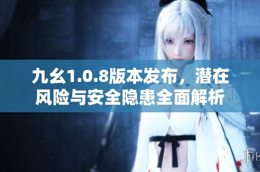 九幺1.0.8版本发布，潜在风险与安全隐患全面解析