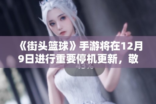 《街头篮球》手游将在12月9日进行重要停机更新，敬请关注最新动态