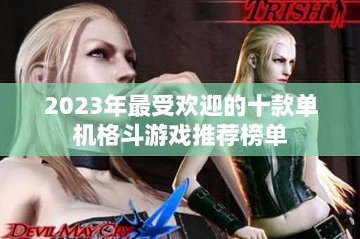 2023年最受欢迎的十款单机格斗游戏推荐榜单