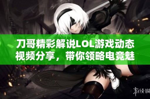 刀哥精彩解说LOL游戏动态视频分享，带你领略电竞魅力