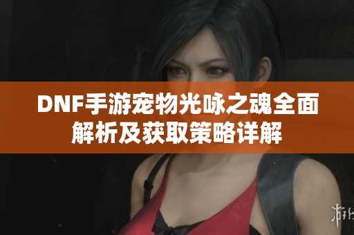 DNF手游宠物光咏之魂全面解析及获取策略详解
