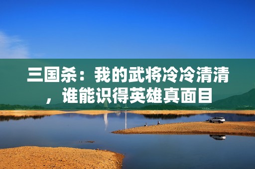 三国杀：我的武将冷冷清清，谁能识得英雄真面目