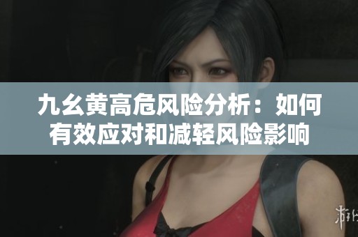 九幺黄高危风险分析：如何有效应对和减轻风险影响
