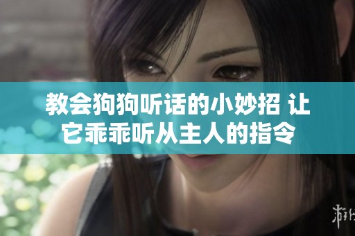教会狗狗听话的小妙招 让它乖乖听从主人的指令