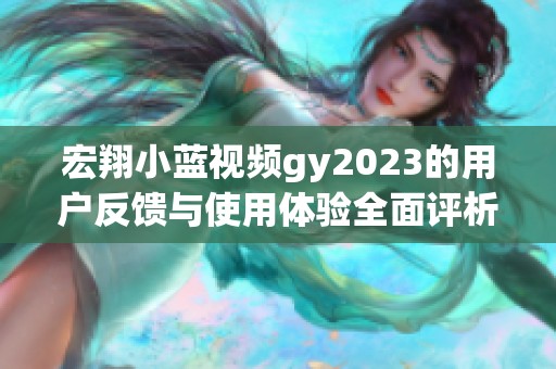 宏翔小蓝视频gy2023的用户反馈与使用体验全面评析