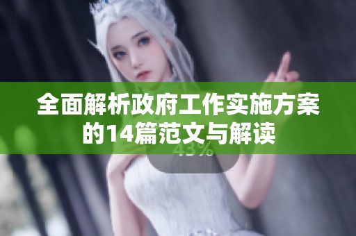 全面解析政府工作实施方案的14篇范文与解读