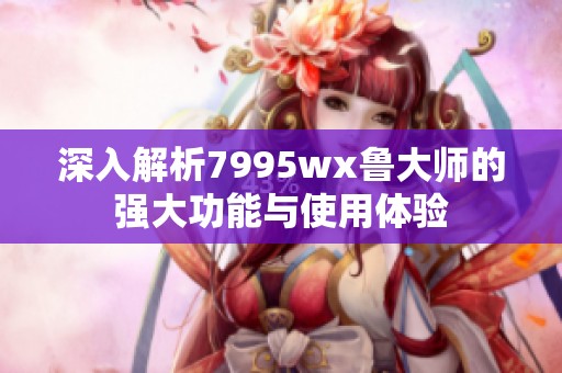 深入解析7995wx鲁大师的强大功能与使用体验