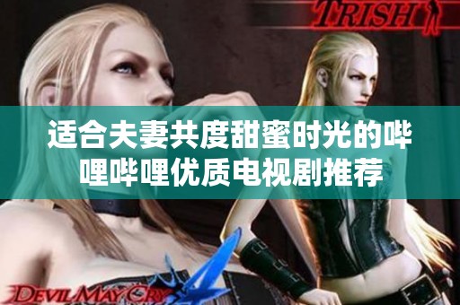 适合夫妻共度甜蜜时光的哔哩哔哩优质电视剧推荐