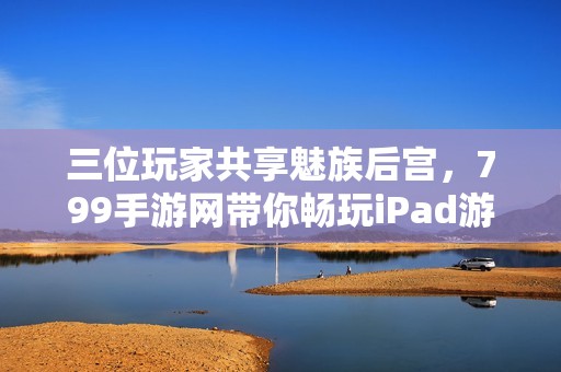 三位玩家共享魅族后宫，799手游网带你畅玩iPad游戏体验