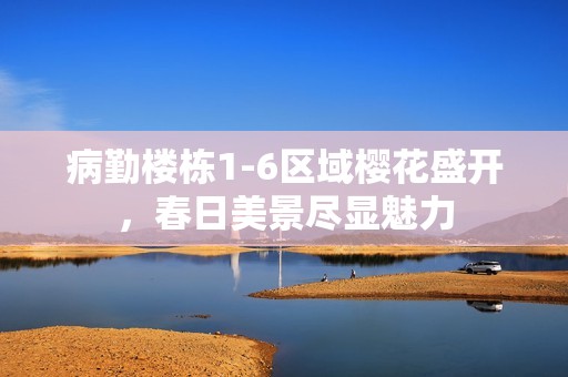 病勤楼栋1-6区域樱花盛开，春日美景尽显魅力