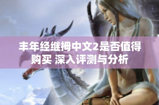 丰年经继拇中文2是否值得购买 深入评测与分析