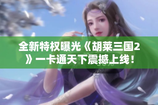 全新特权曝光《胡莱三国2》一卡通天下震撼上线！