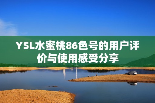 YSL水蜜桃86色号的用户评价与使用感受分享