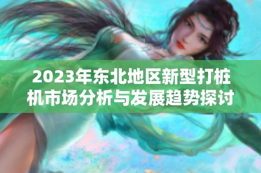2023年东北地区新型打桩机市场分析与发展趋势探讨