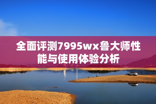 全面评测7995wx鲁大师性能与使用体验分析
