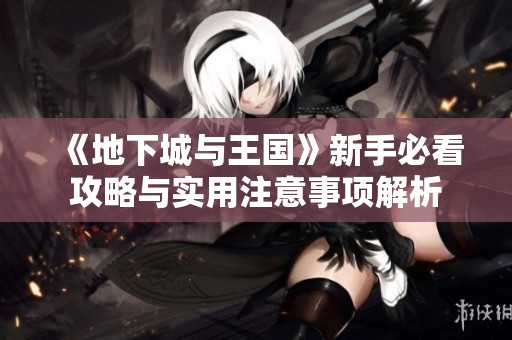 《地下城与王国》新手必看攻略与实用注意事项解析