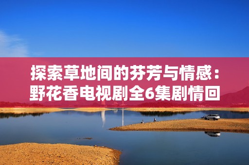 探索草地间的芬芳与情感：野花香电视剧全6集剧情回顾