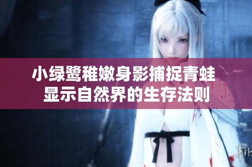 小绿鹭稚嫩身影捕捉青蛙 显示自然界的生存法则