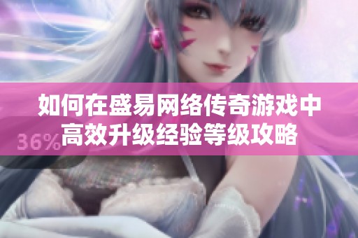 如何在盛易网络传奇游戏中高效升级经验等级攻略
