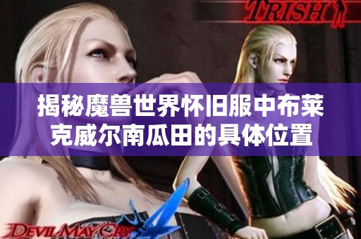 揭秘魔兽世界怀旧服中布莱克威尔南瓜田的具体位置