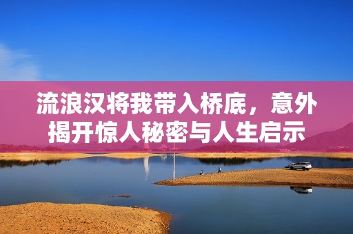 流浪汉将我带入桥底，意外揭开惊人秘密与人生启示