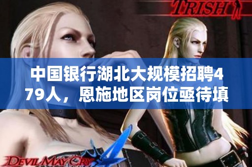 中国银行湖北大规模招聘479人，恩施地区岗位亟待填补