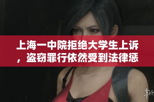 上海一中院拒绝大学生上诉，盗窃罪行依然受到法律惩处