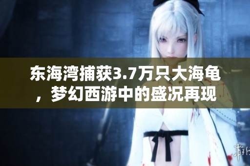 东海湾捕获3.7万只大海龟，梦幻西游中的盛况再现