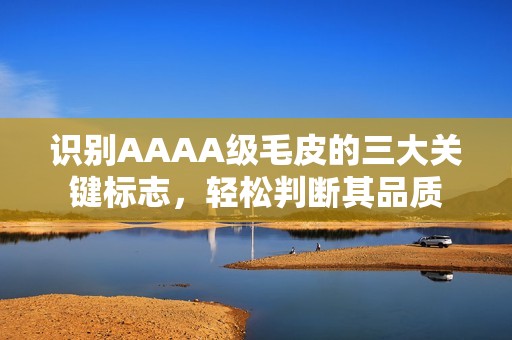 识别AAAA级毛皮的三大关键标志，轻松判断其品质