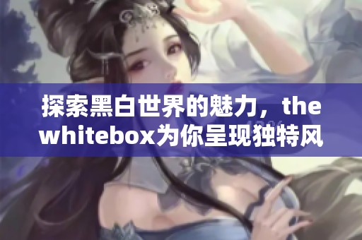 探索黑白世界的魅力，thewhitebox为你呈现独特风格