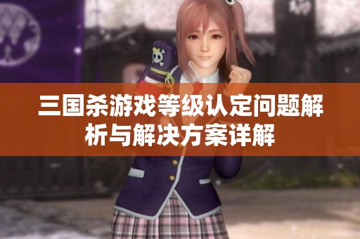 三国杀游戏等级认定问题解析与解决方案详解