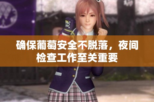 确保葡萄安全不脱落，夜间检查工作至关重要