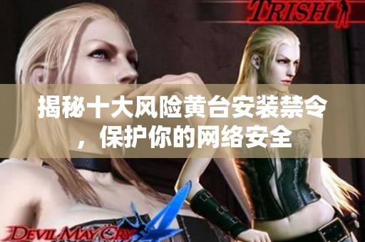 揭秘十大风险黄台安装禁令，保护你的网络安全
