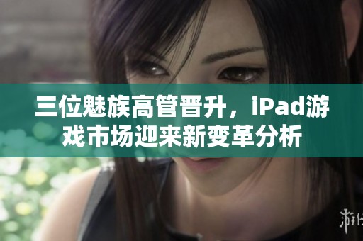 三位魅族高管晋升，iPad游戏市场迎来新变革分析