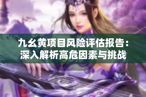 九幺黄项目风险评估报告：深入解析高危因素与挑战