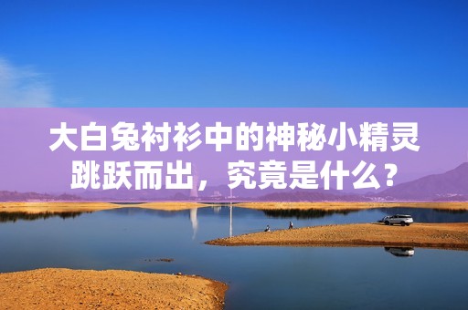 大白兔衬衫中的神秘小精灵跳跃而出，究竟是什么？