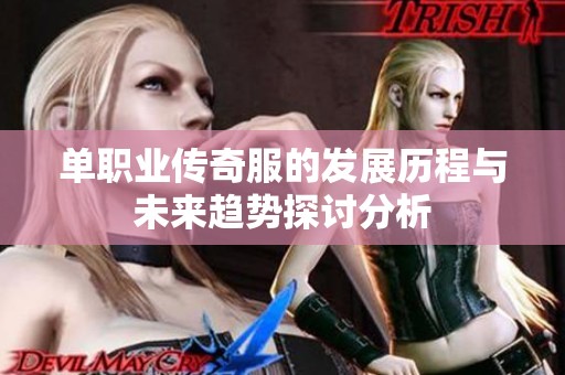 单职业传奇服的发展历程与未来趋势探讨分析