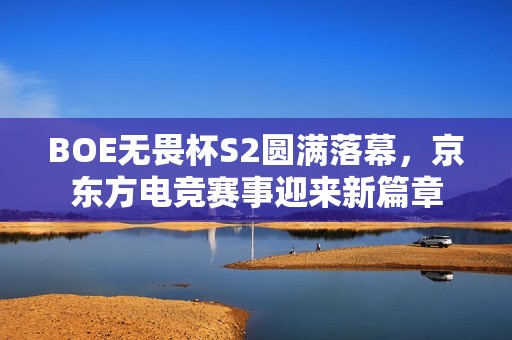 BOE无畏杯S2圆满落幕，京东方电竞赛事迎来新篇章