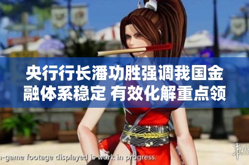 央行行长潘功胜强调我国金融体系稳定 有效化解重点领域风险