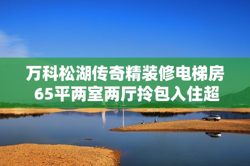 万科松湖传奇精装修电梯房 65平两室两厅拎包入住超值房源推荐