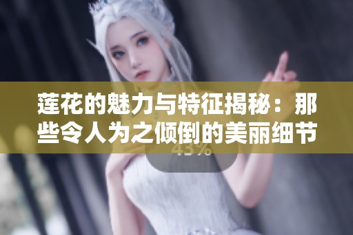 莲花的魅力与特征揭秘：那些令人为之倾倒的美丽细节