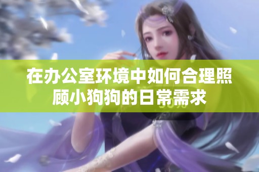 在办公室环境中如何合理照顾小狗狗的日常需求