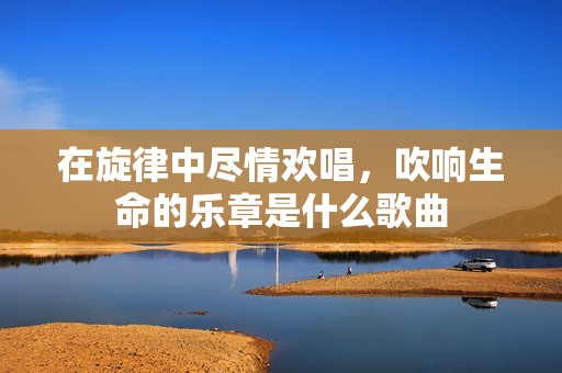 在旋律中尽情欢唱，吹响生命的乐章是什么歌曲