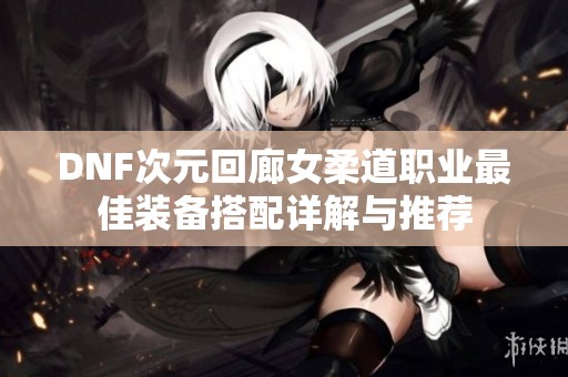 DNF次元回廊女柔道职业最佳装备搭配详解与推荐